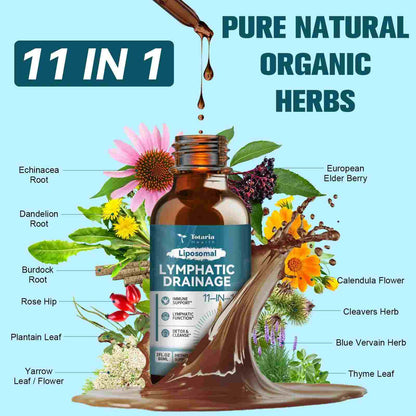 Cellular Cleanse Liposomal Lymphatic Drainage Drops