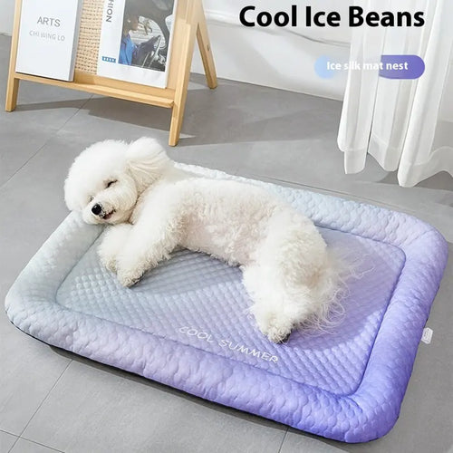 Keep Pets Cool Instantly